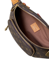 Louis Vuitton Rush Bumbag – Monogram Canvas