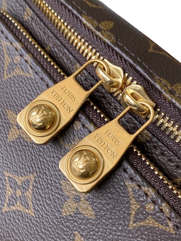 Louis Vuitton Rush Bumbag – Monogram Canvas