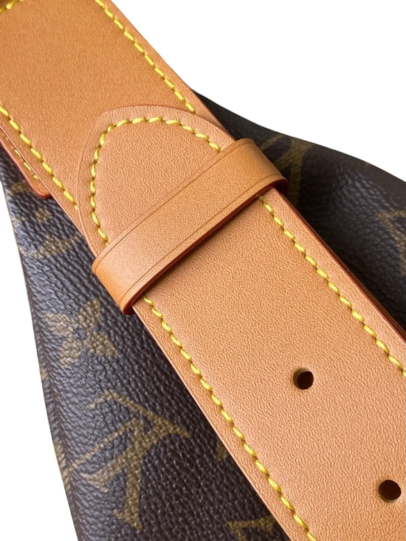 Louis Vuitton Rush Bumbag – Monogram Canvas