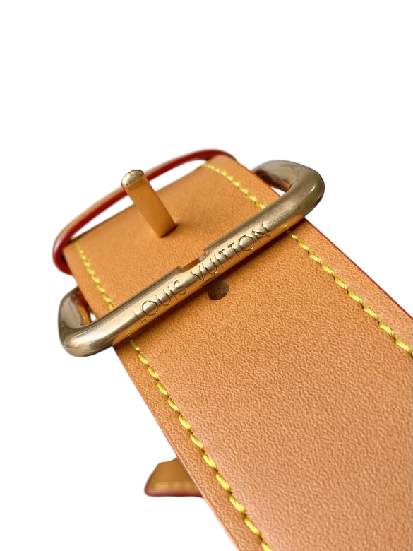 Louis Vuitton Rush Bumbag – Monogram Canvas