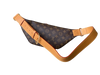 Louis Vuitton Rush Bumbag – Monogram Canvas