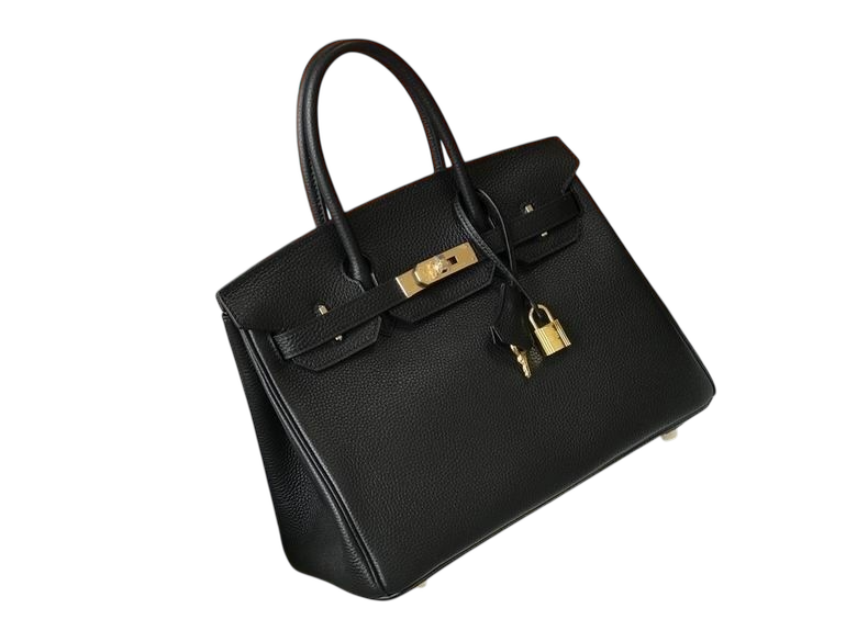Hermès Birkin 25 – Black Togo Leather with Gold Hardware (Brand New)