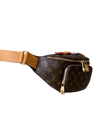 Louis Vuitton Rush Bumbag – Monogram Canvas