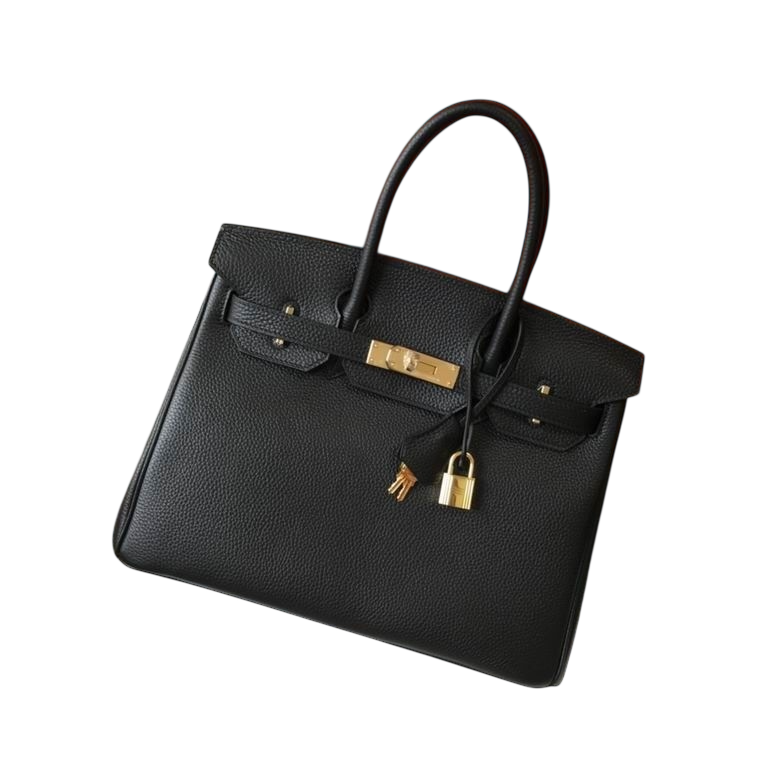 Hermès Birkin 25 – Black Togo Leather with Gold Hardware (Brand New)