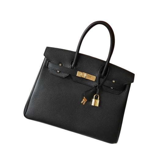 Hermès Birkin 25 – Black Togo Leather with Gold Hardware (Brand New)